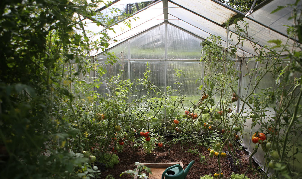 建日光温室蔬菜大棚